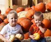 pumpkinkids copy