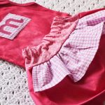 apronskirtslider