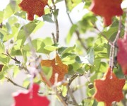 Salt Dough Autumn Leaves