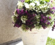 miniature flower tower