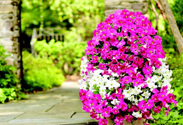 FlowerTower1