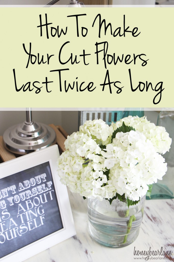 how to make your cut flowers last twice as long