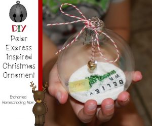 DIY Ornaments
