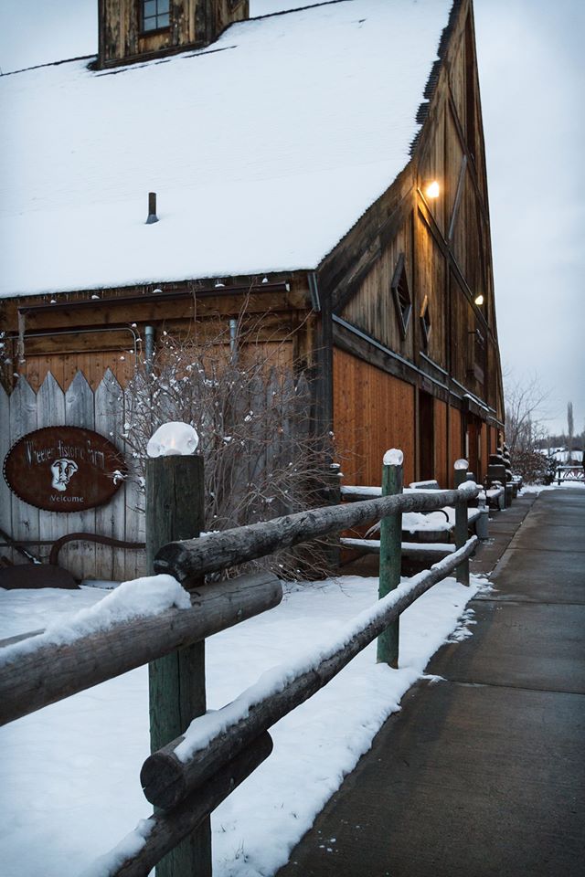 DIY Rustic Winter Wedding