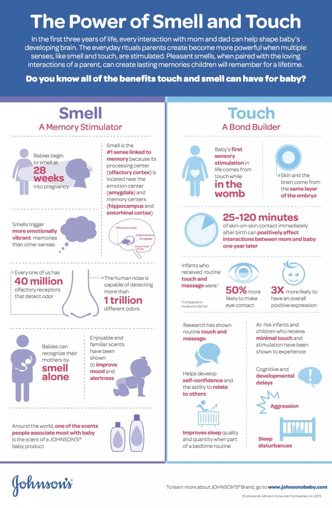 JOHNSON'S Science of the Senses Infographic