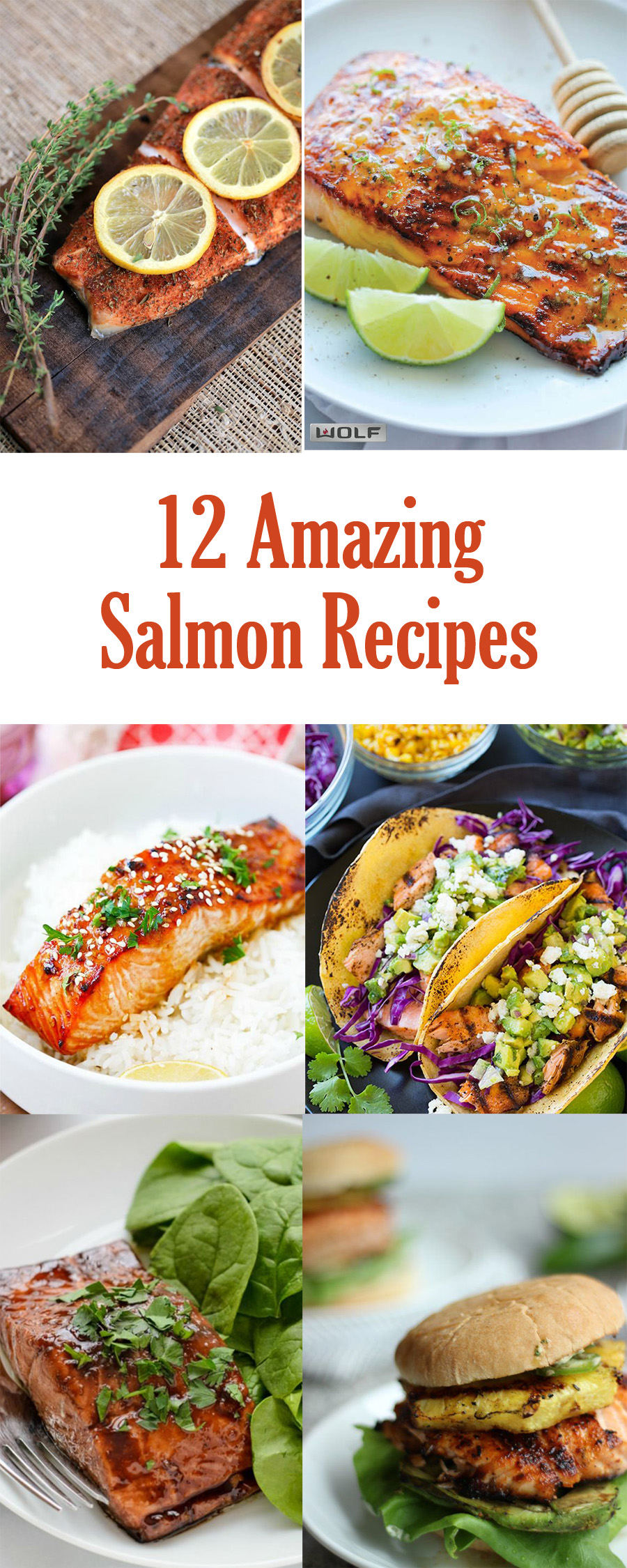 12 Amazing Salmon Recipes - Honeybear Lane