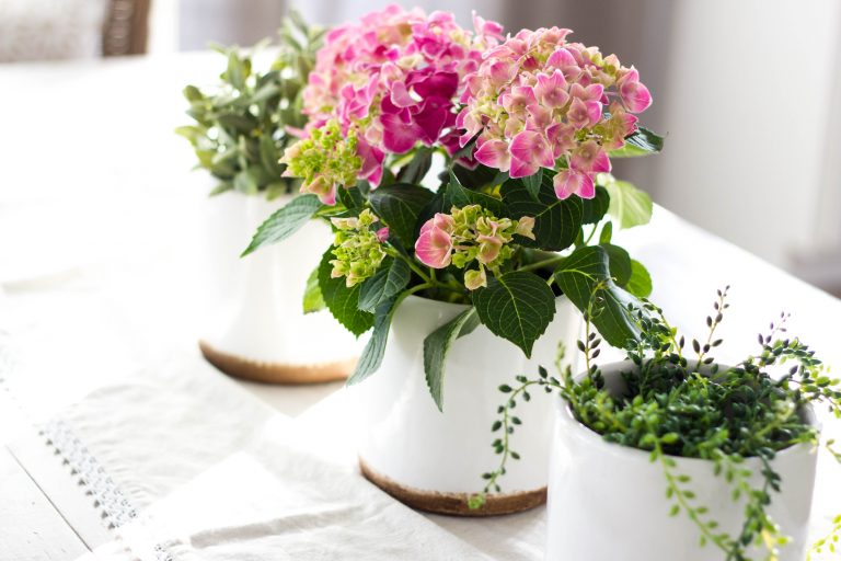 5 Surprising things that happen when you decorate