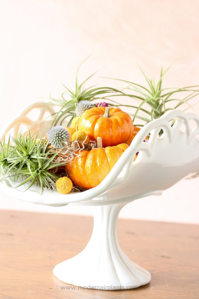 This is a list of our favorite ways to decorate with pumpkin for fall and Halloween!