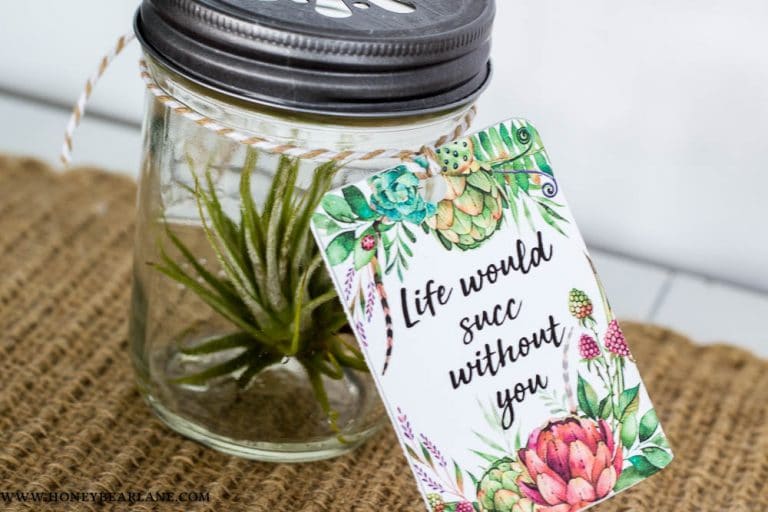 Valentine’s Succulent Gift & Printable