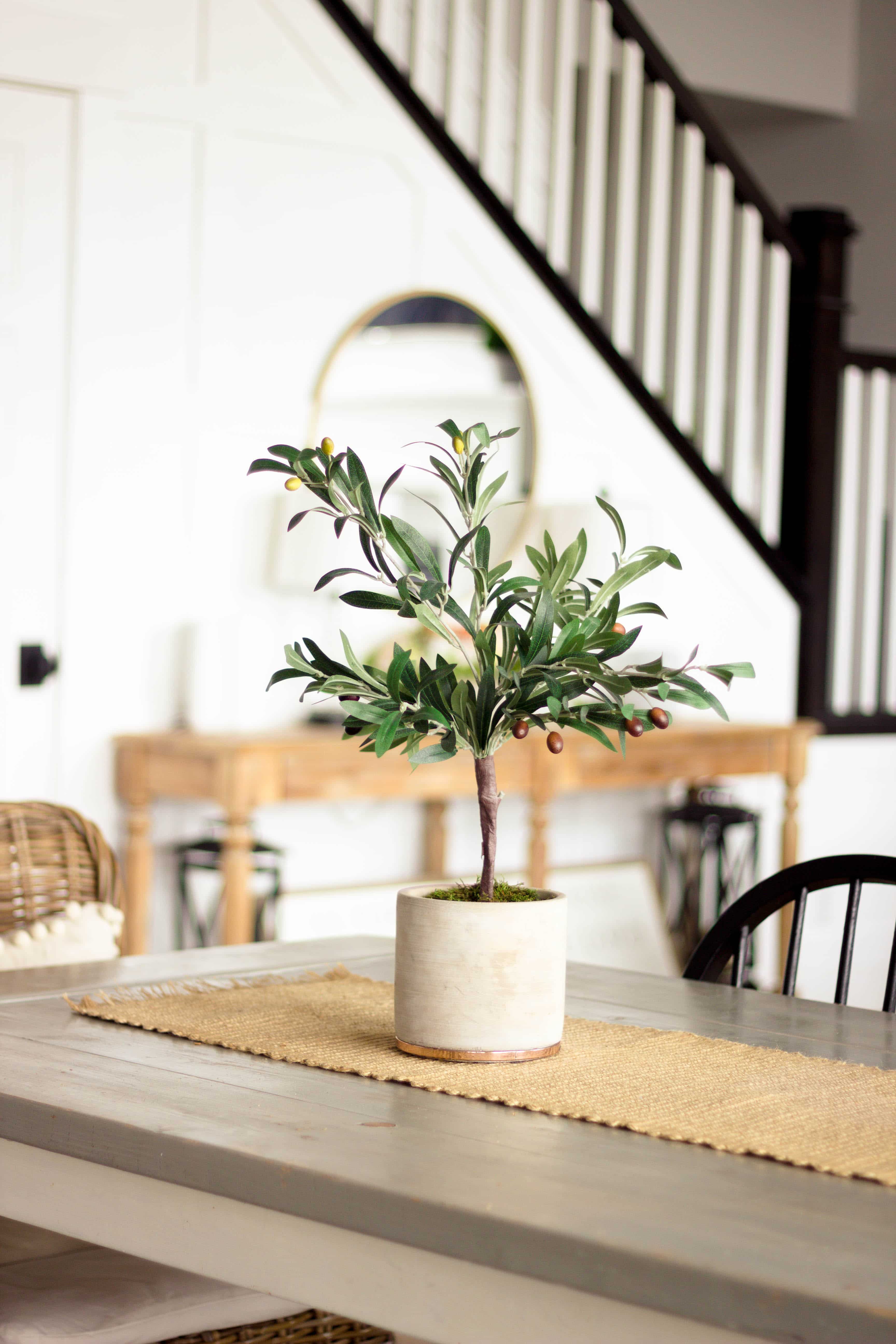 Diy Faux Olive Tree Honeybear Lane