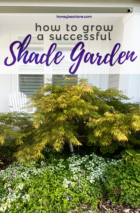 How to grow a successful shade garden