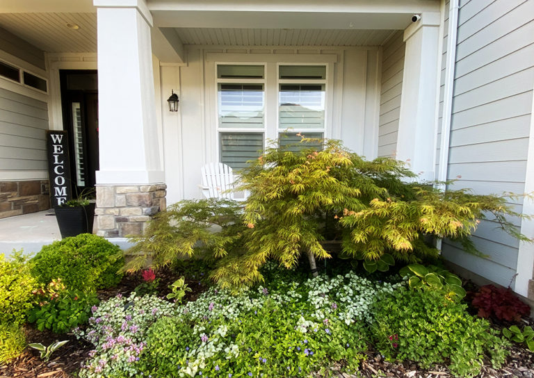 How to Have a Successful Shade Garden